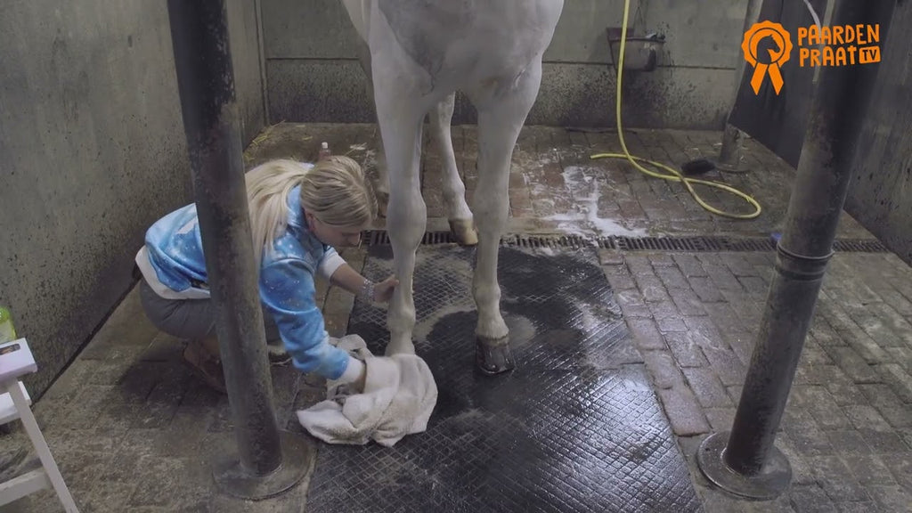 Paardenpraat TV Hoefglansolie  2