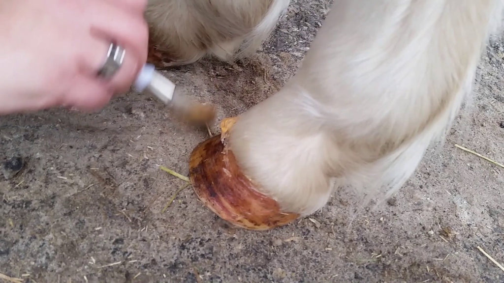 Excellent Horse Hoof Oil Gel 400 g 2