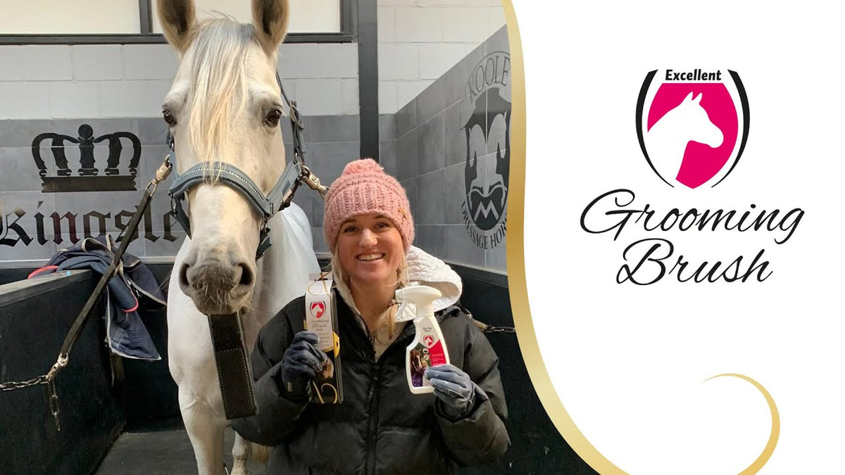 Excellent Horse Grooming Brush M Zwart 4