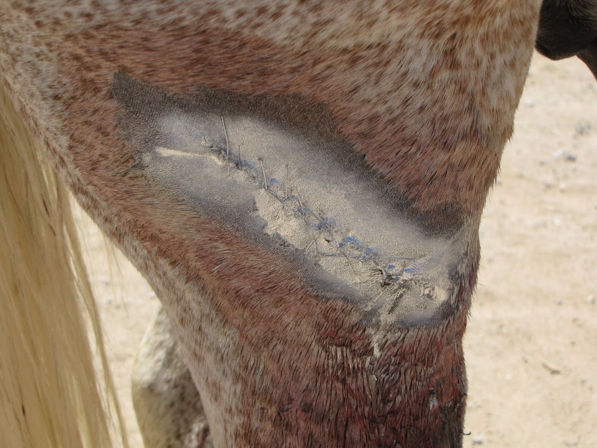 Excellent Aluminium Spray  2