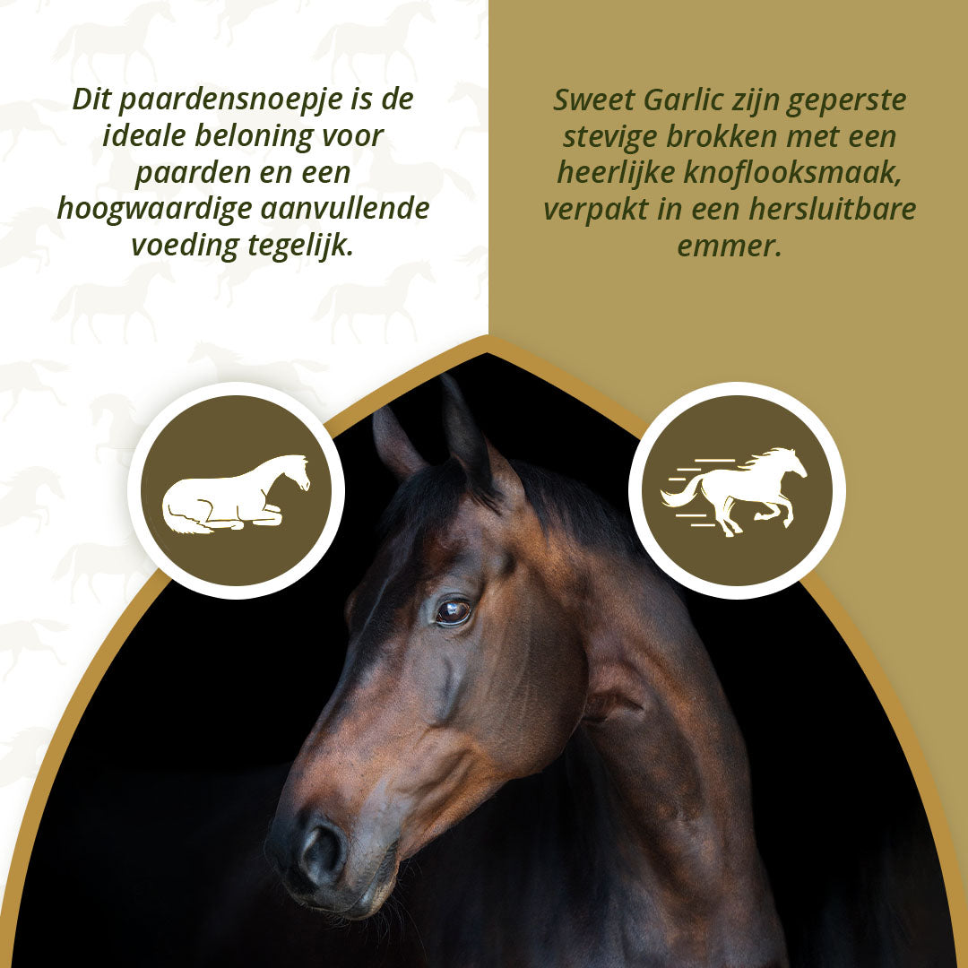 Excellent Horse Sweet Blocks Garlic 1,2 kg 4
