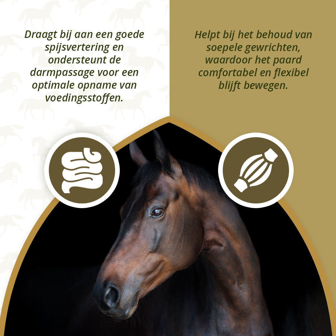 Excellent Horse Omega Boost 1 l 3