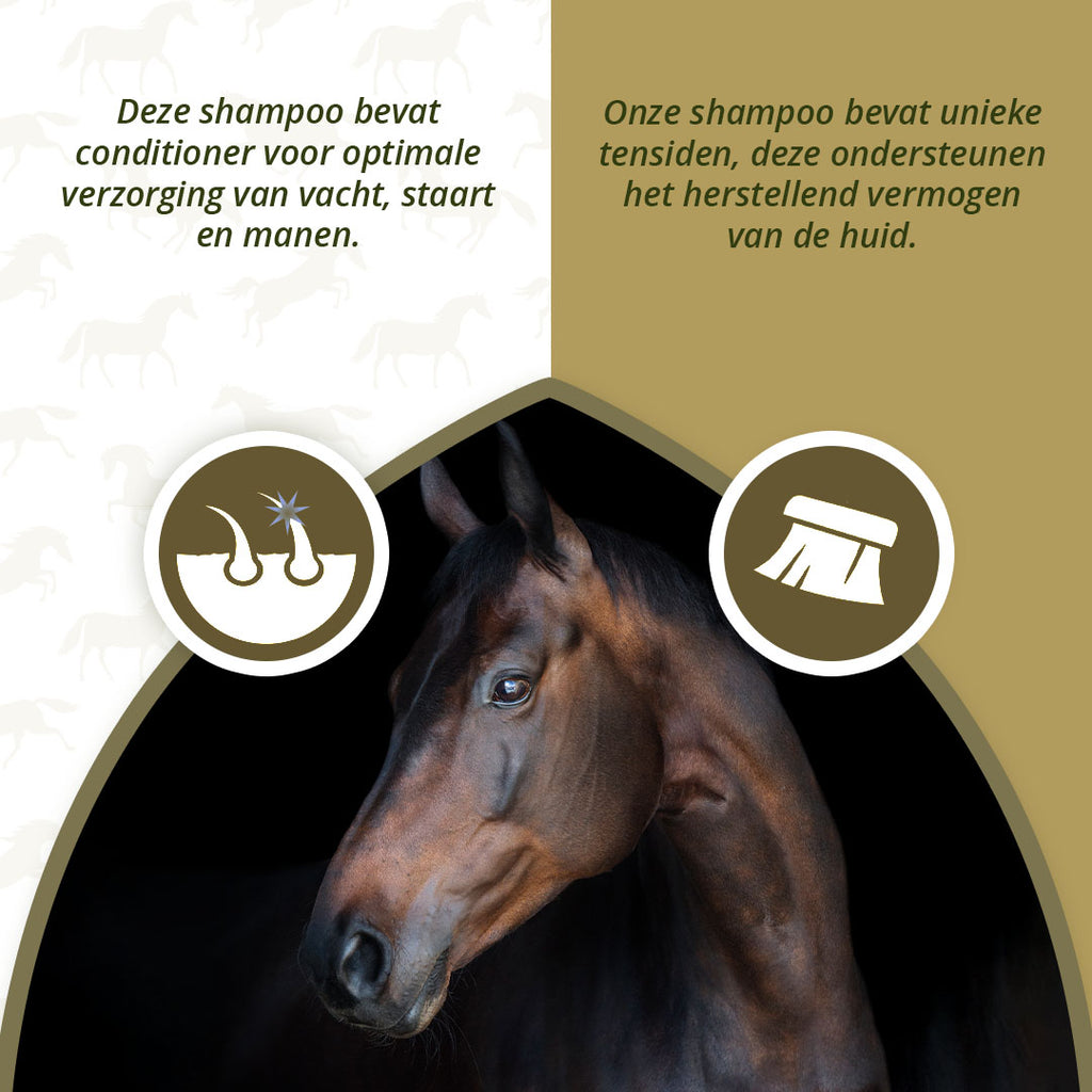 Excellent Horse Hi Gloss Shampoo Rose 500 ml 2