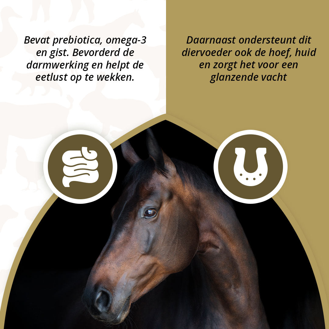 Excellent Horse Prebiotics 2,5 kg 3