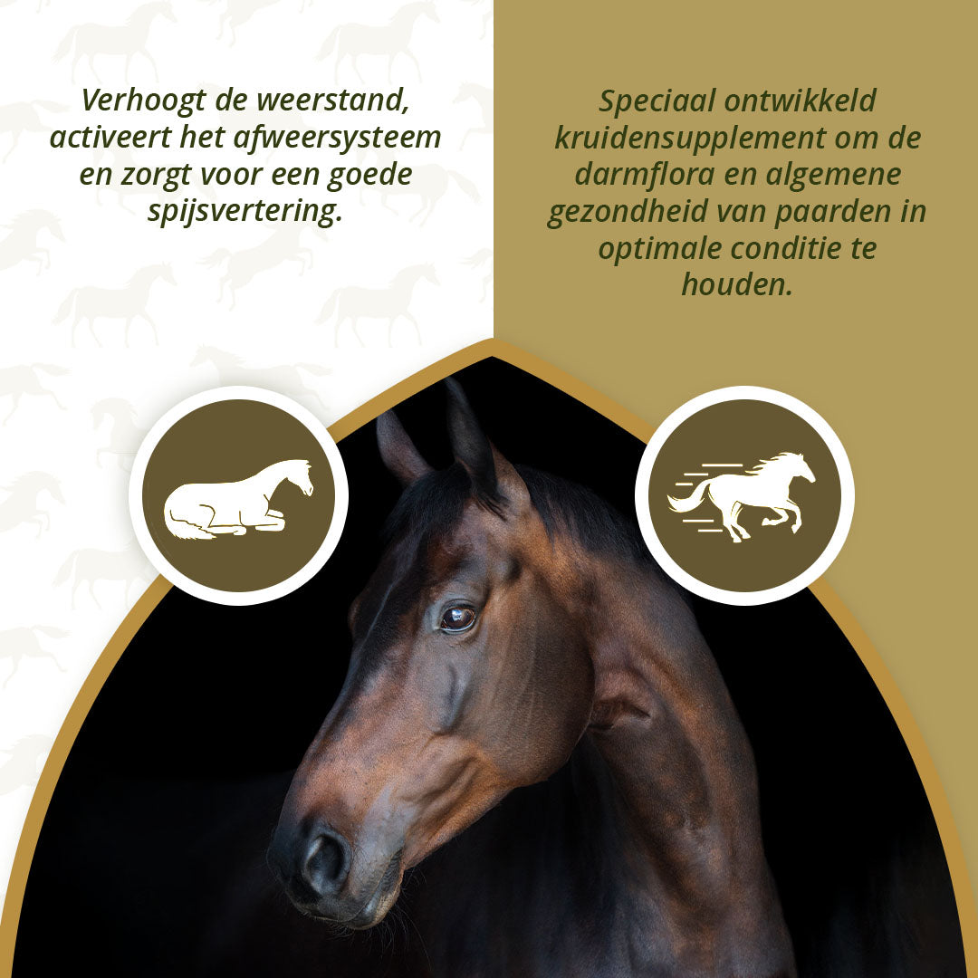 Excellent Horse Parex 1,5 kg 3