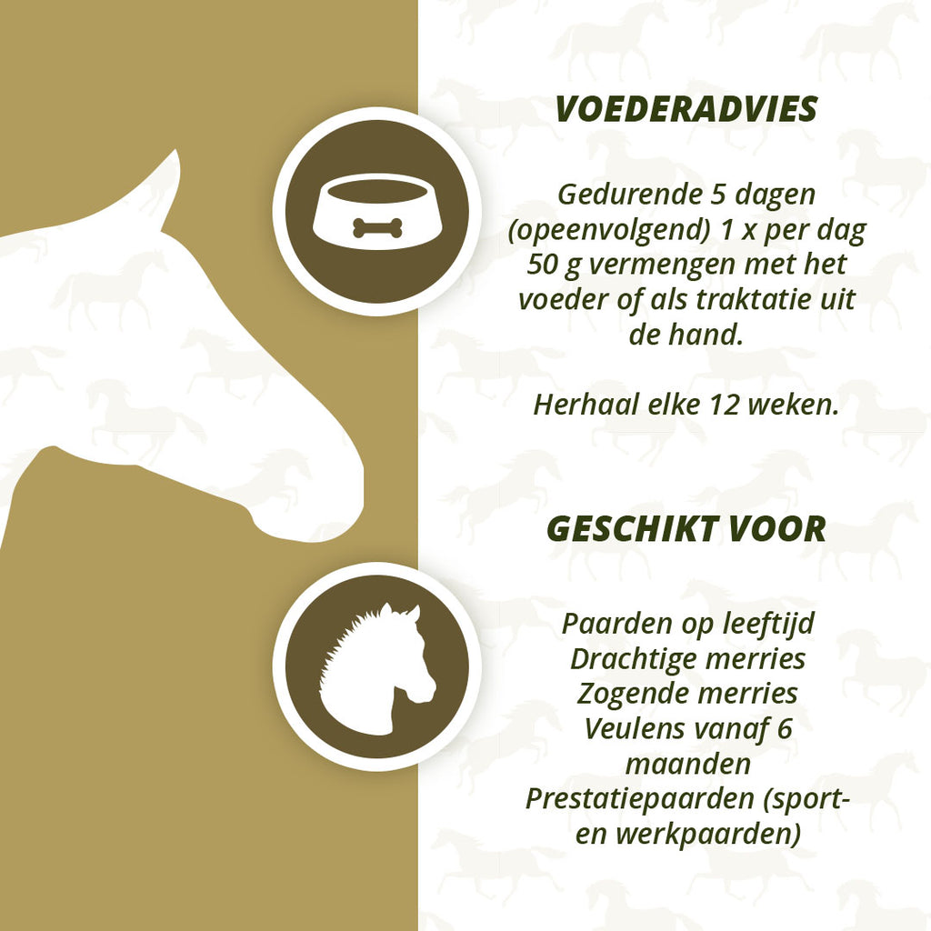 Excellent Horse Parex 1,5 kg 4