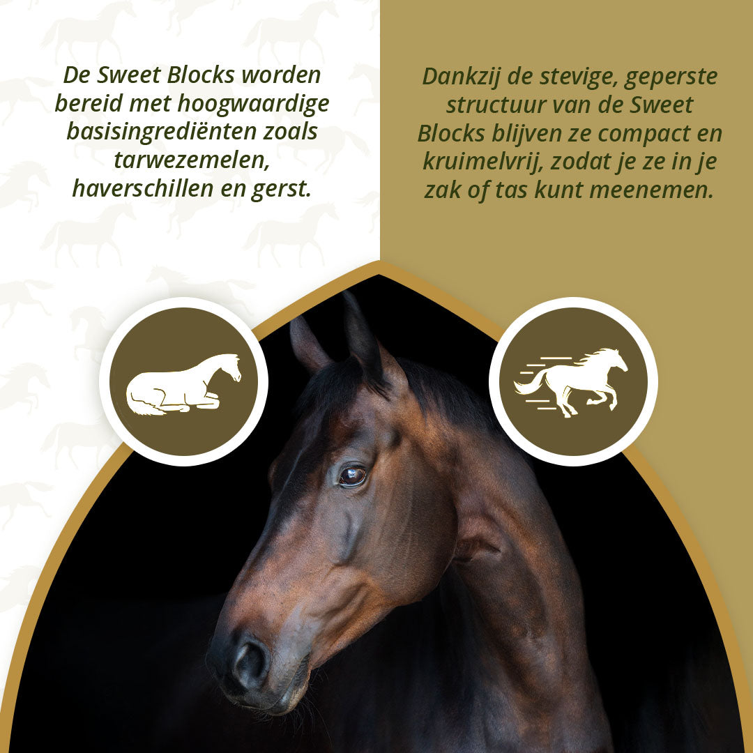 Excellent Horse Sweet Blocks Eucalyptus 1 kg 3