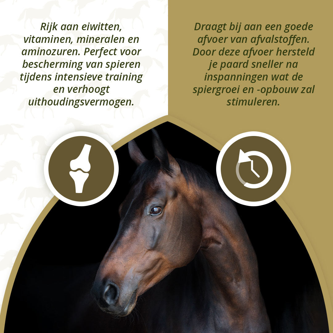 Excellent Horse Turbo 1 kg 3