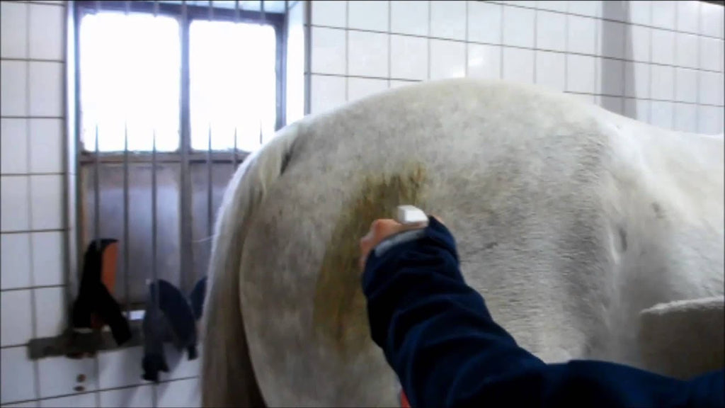 Excellent Horse Hi Gloss Clean Spray 500 ml 6