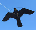 Birdshield Vlieger