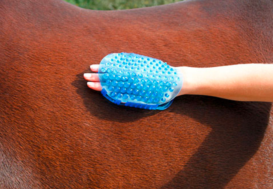 Borstel magneet massage Blauw 5