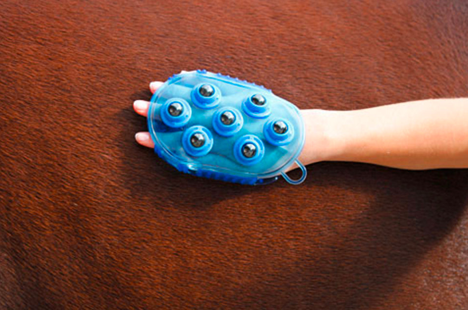 Borstel magneet massage Blauw 4