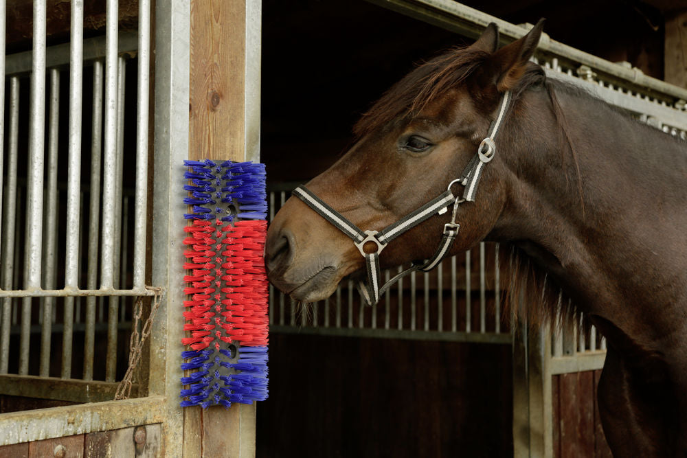 Borstel voor Paard, Rund, Geit  2