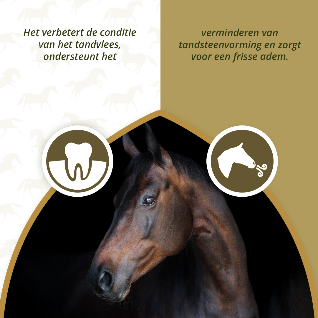 Excellent Horse Dental Care 1 kg 3