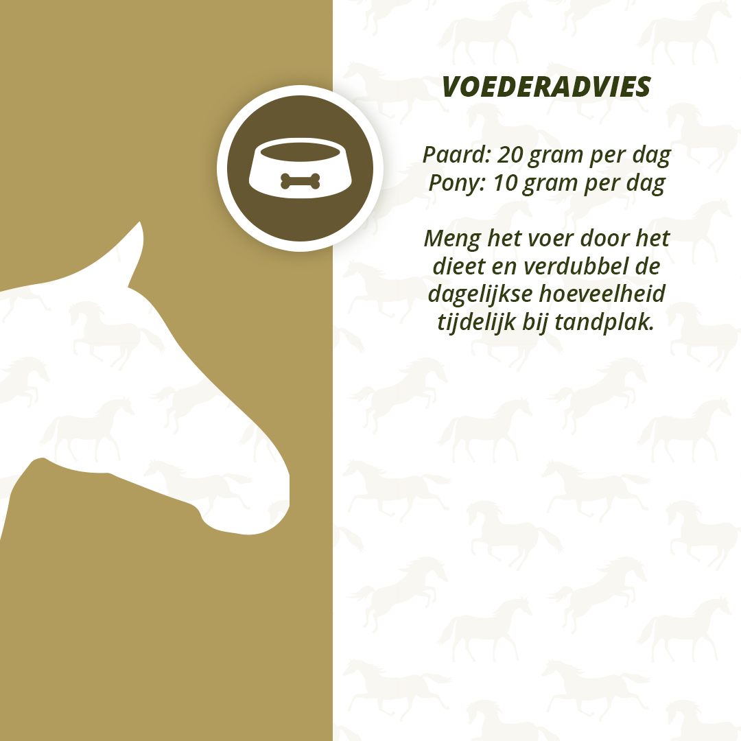 Excellent Horse Dental Care 1 kg 4