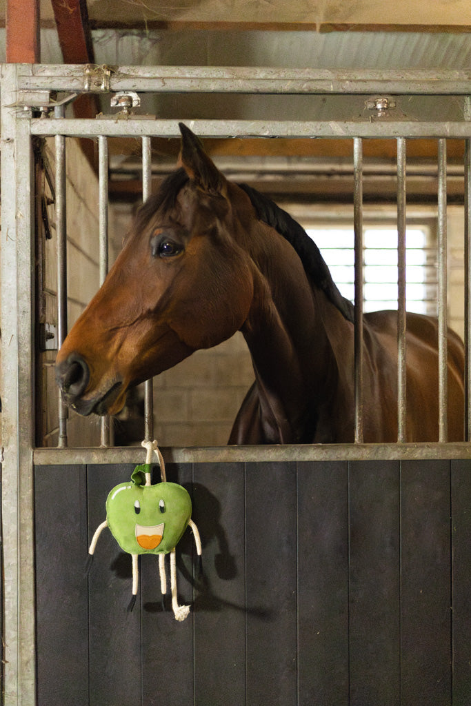 Excellent Horse Foodie Friends Apple 3