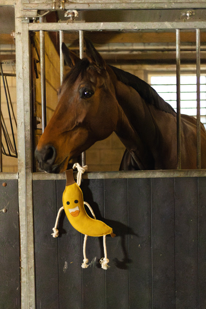 Excellent Horse Foodie Friends Banana 3