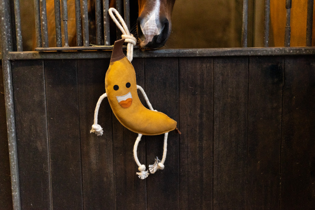 Excellent Horse Foodie Friends Banana 4