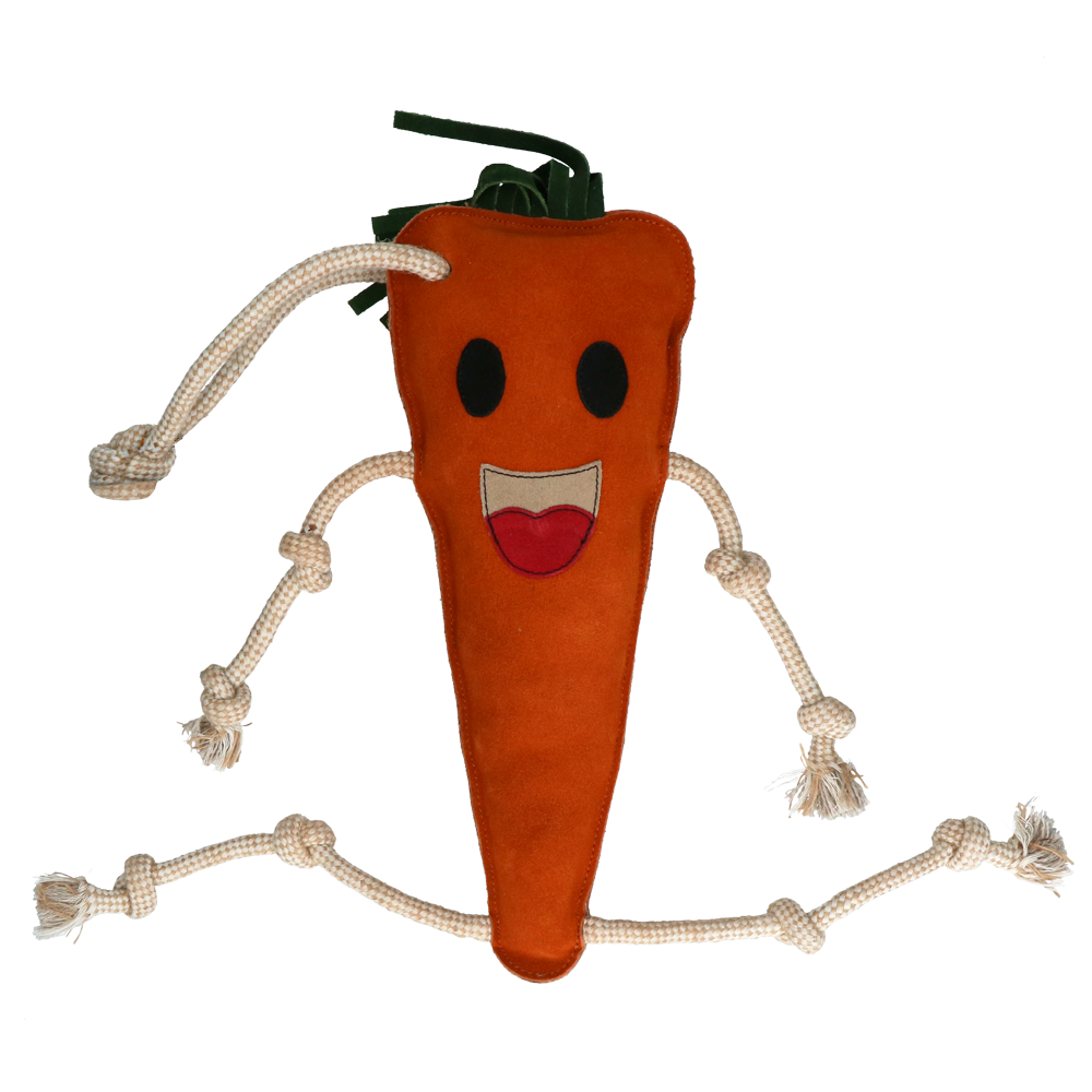 Excellent Horse Foodie Friends Carrot 2