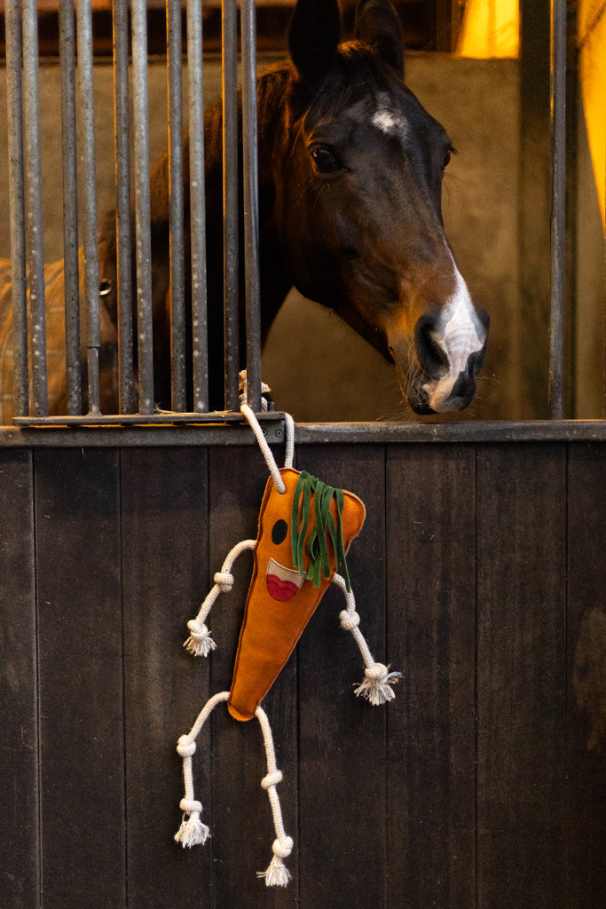 Excellent Horse Foodie Friends Carrot 3