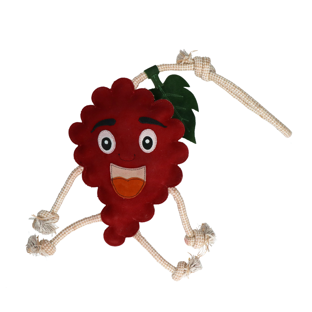 Excellent Horse Foodie Friends Raspberry 2