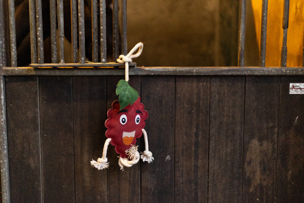 Excellent Horse Foodie Friends Raspberry 3
