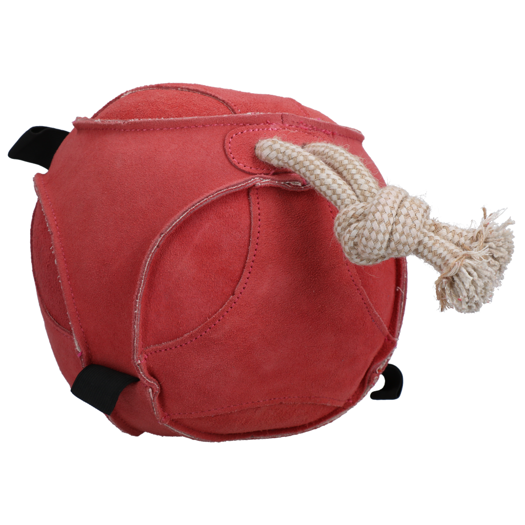 Excellent Horse Fun Play Ball Suede Roze 2