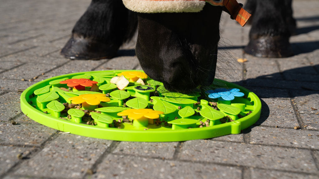 Excellent Horse Snuffle Mat Flower Power  4