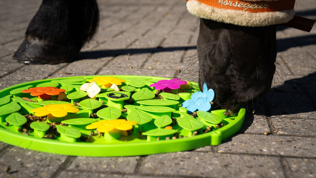 Excellent Horse Snuffle Mat Flower Power  3