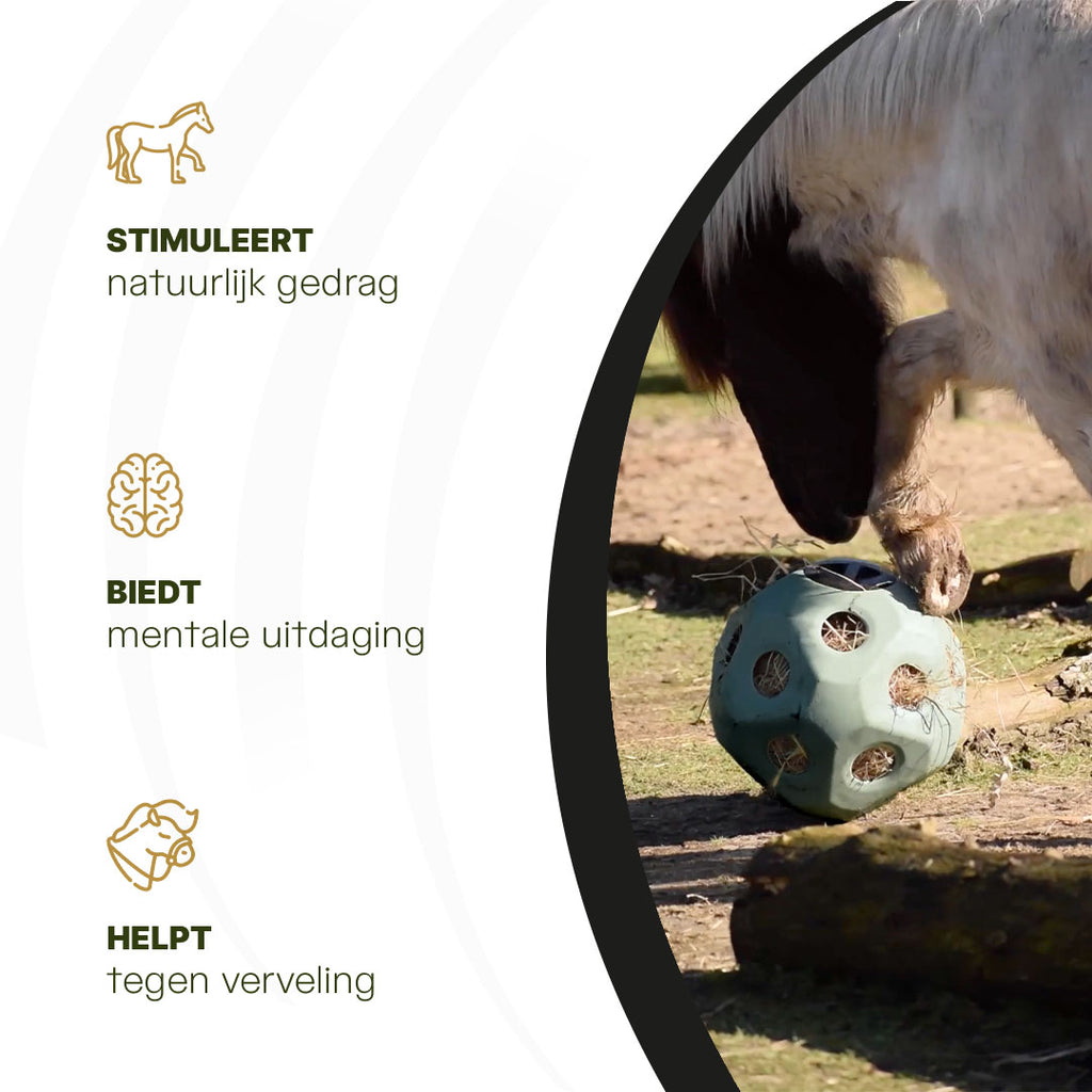 Excellent Horse Feed & Play Ball Groen 6