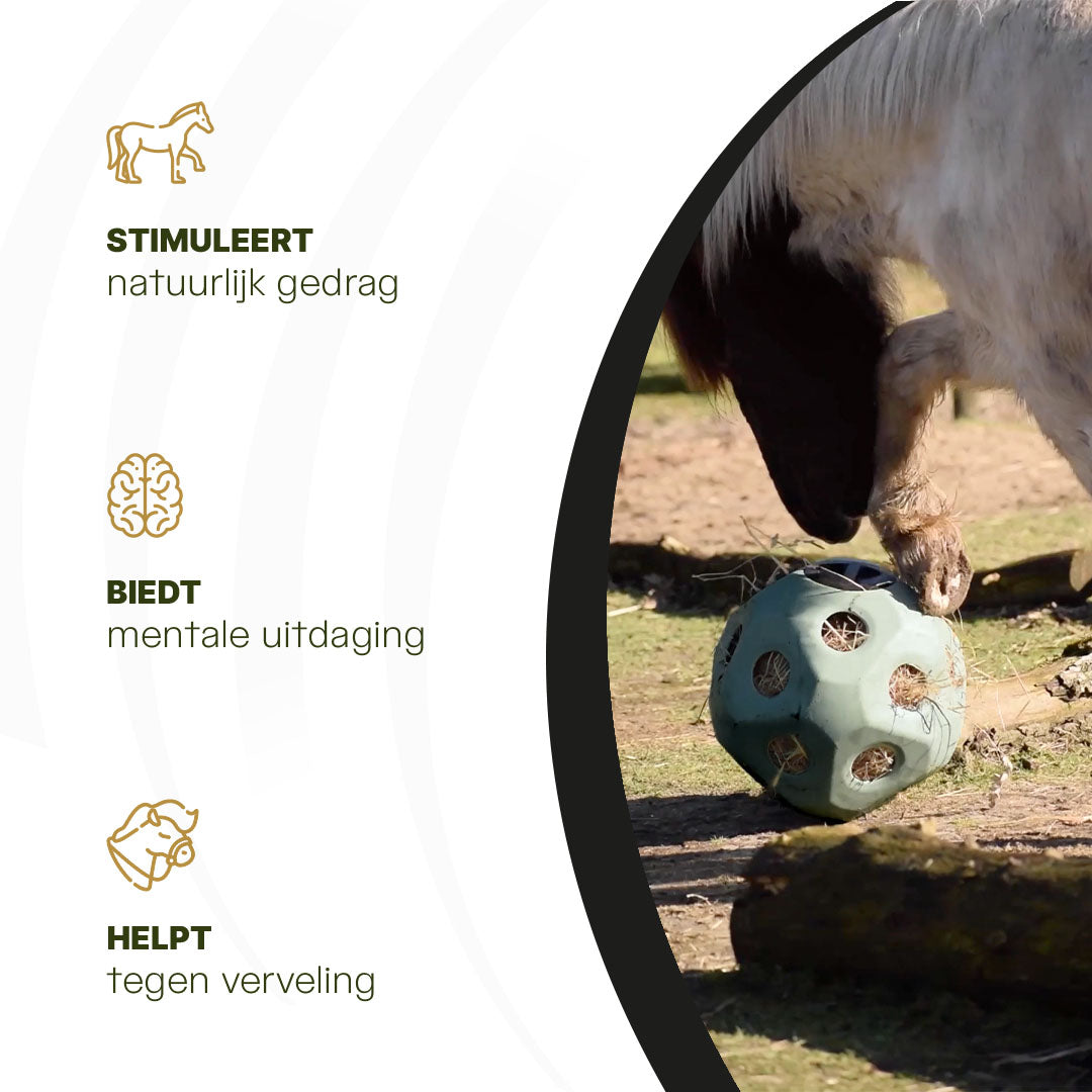 Excellent Horse Feed & Play Ball Groen 6