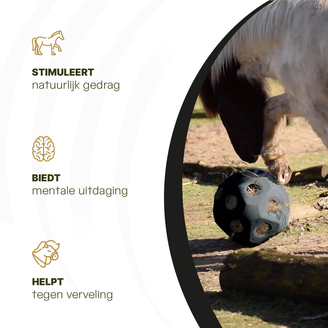 Excellent Horse Feed & Play Ball Zwart 6