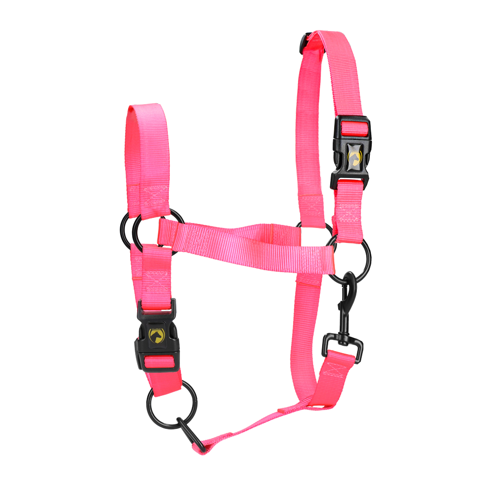 Excellent Essential Halster Roze S