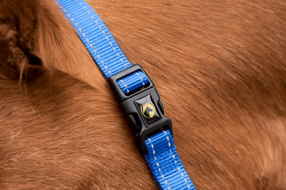 Excellent Superior Halster Blauw XS 3