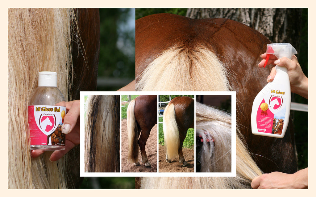 Excellent Horse Hi Gloss Spray 500 ml 2