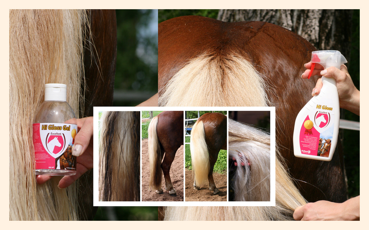 Excellent Horse Hi Gloss Spray 500 ml 2