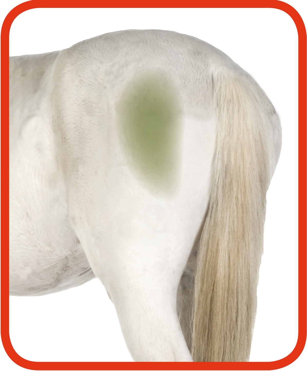 Excellent Horse Hi Gloss Clean Spray 500 ml 3