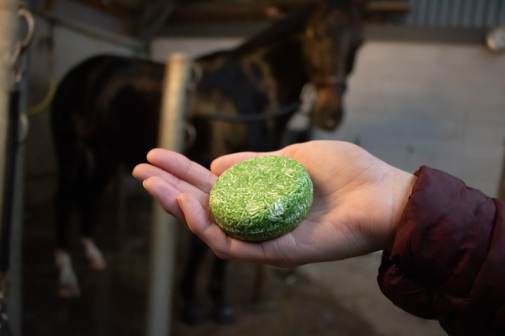 Excellent Horse Hi Gloss Shampoo Bar Aloe Vera 60 g 3