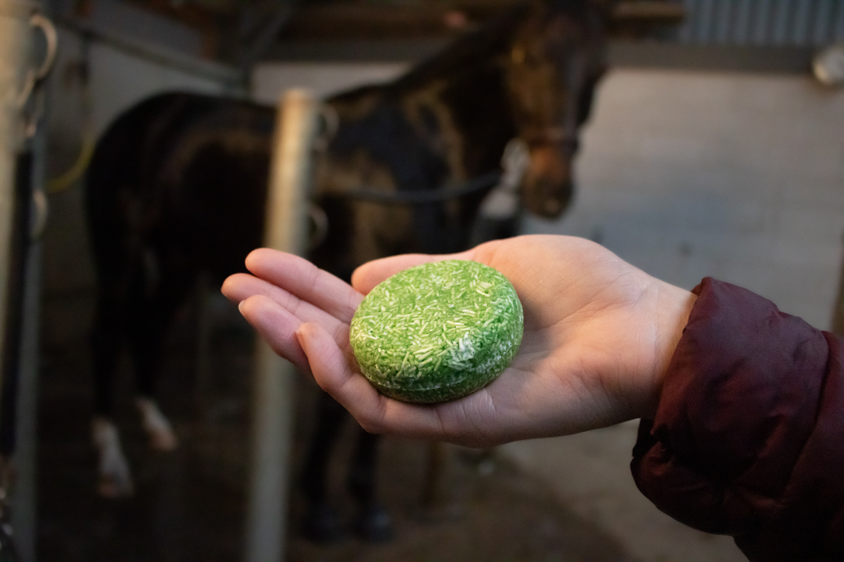 Excellent Horse Hi Gloss Shampoo Bar Aloe Vera 60 g 3