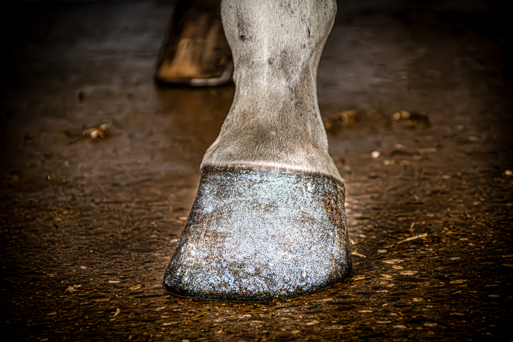 Excellent Horse Hi Gloss Glitter Hoof Polish Silver 150 ml 2