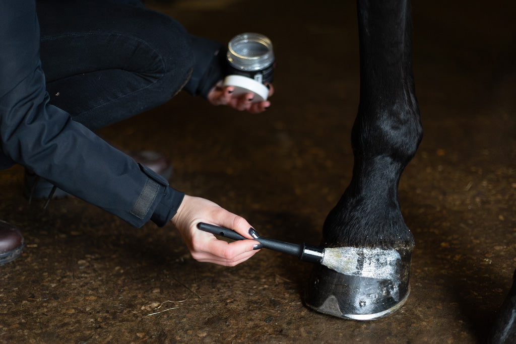 Excellent Horse Hi Gloss Glitter Hoof Polish Silver 150 ml 3