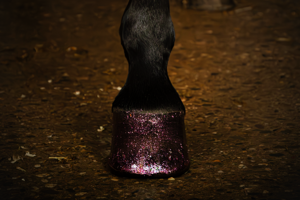 Excellent Horse Hi Gloss Glitter Hoof Polish Pink 150 ml 2