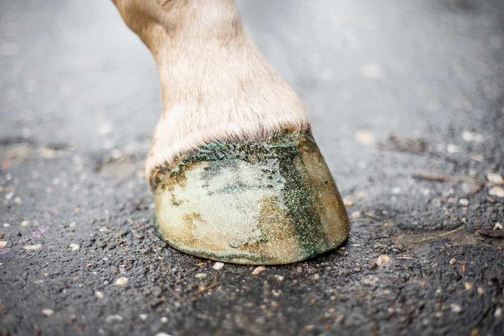 Excellent Horse Hi Gloss Glitter Hoof Polish Green 150 ml 3
