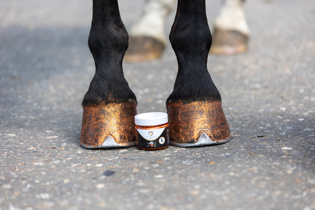 Excellent Horse Hi Gloss Glitter Hoof Polish Orange 150 ml 2