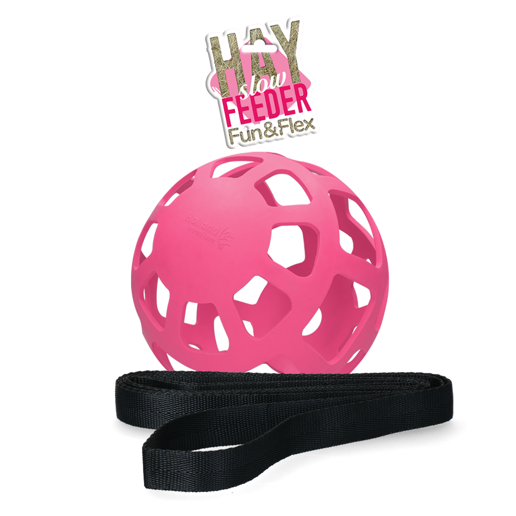 Hay Slow Feeder Fun & Flex Roze