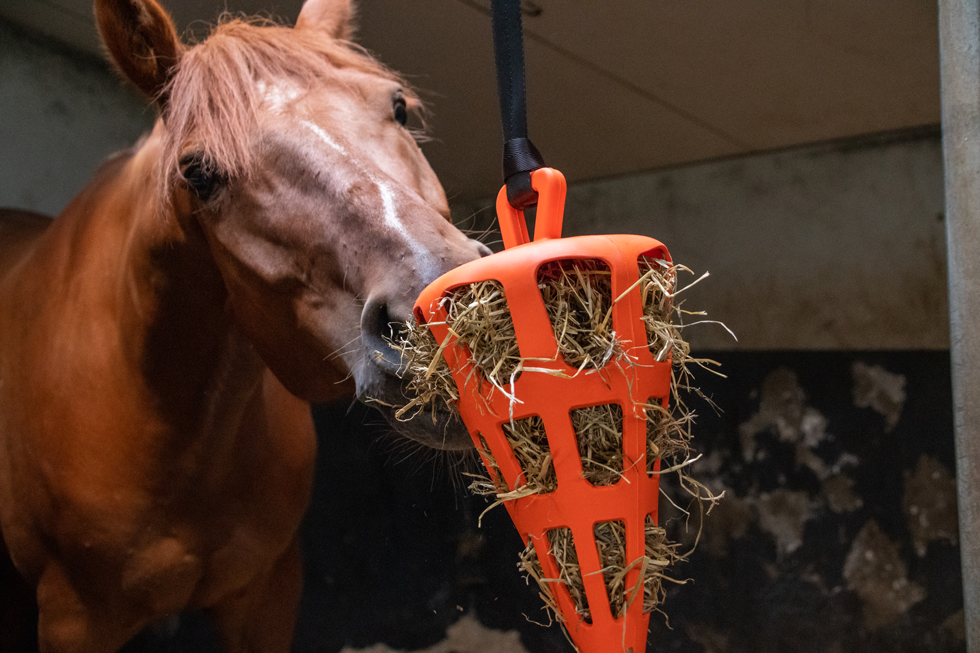 Hay Slow Feeder Fun & Flex Carrot Oranje 3