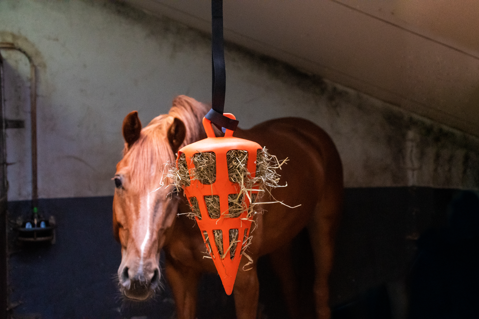 Hay Slow Feeder Fun & Flex Carrot Oranje 4