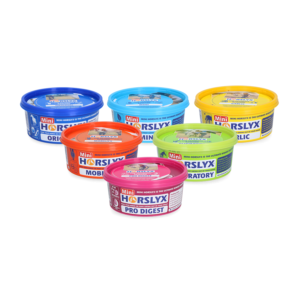 Package deal Horslyx Mini 