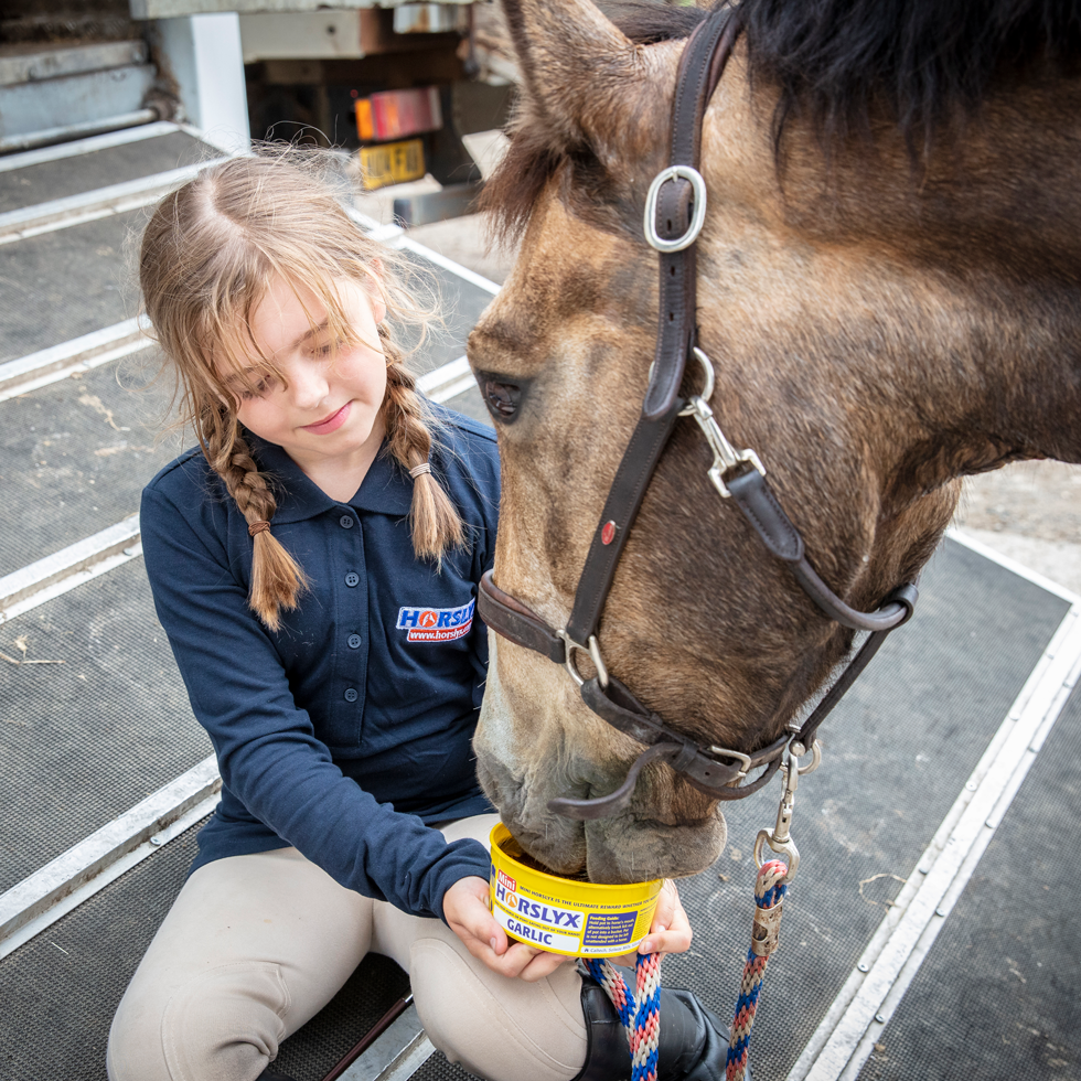 Horslyx Mini Knoflook 2