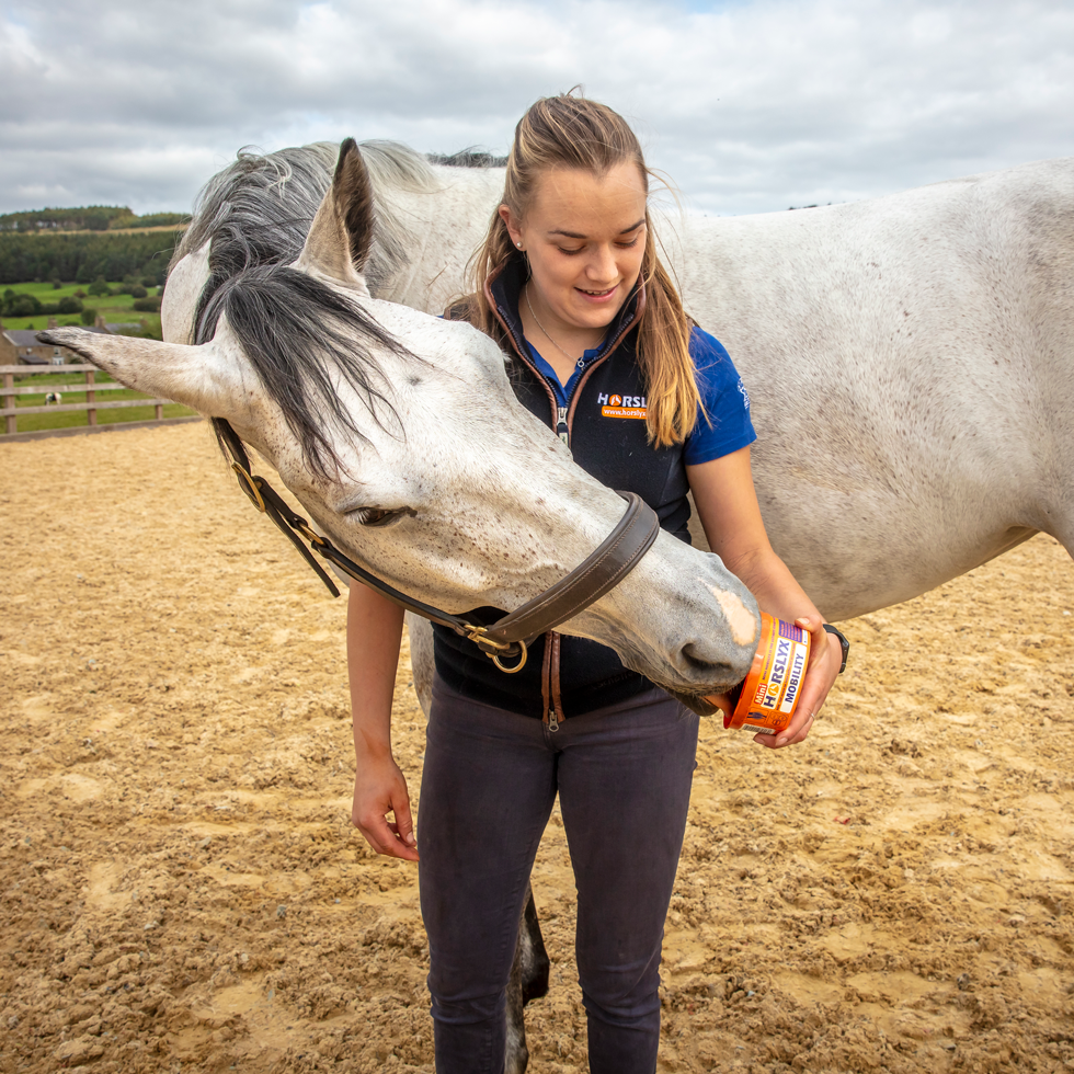 Horslyx Mini Mobiliteit 3